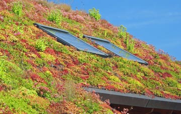 Swine living roof systems