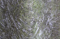 Swine fibreglass roof work